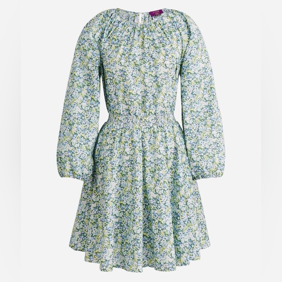 J. Crew Palermo smocked-waist mini dress in Liberty® Thorpe Hill fabric Small - Picture 1 of 12